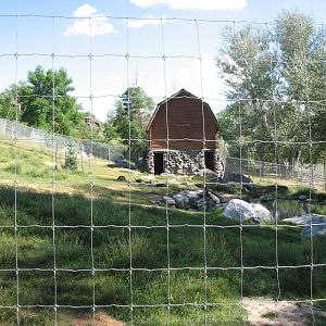 Mule Deer, Sandhill Crane, Wild Turkey Exhibit