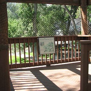 Tree House Play Area