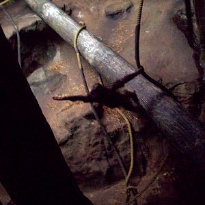 Baby Orangutan in dimly lit exhibit