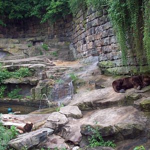 Ancient Kodiak Bear Grotto