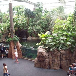 View from the second floor.