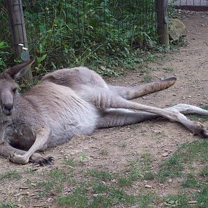 Hello, thanks for stopping by.