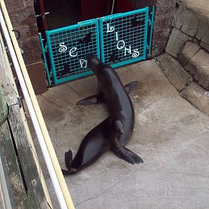 Mama & Baby wait for the show to start.