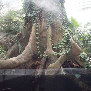 Section of the PPG Aquarium.