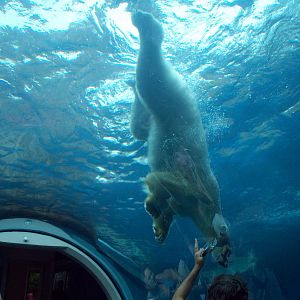 Coming to say hello.