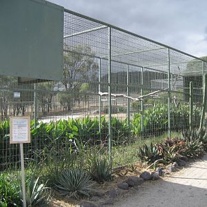 Macaw Aviary