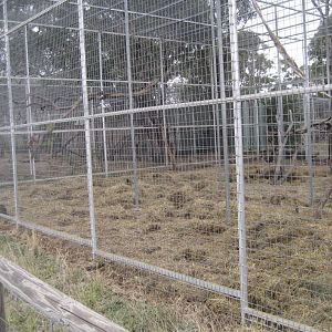 Macaque Enclosure