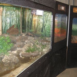 Reptile tanks