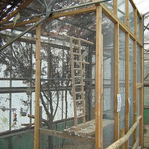 Pili Palas - July 2010, Sulphur Crested Cockatoo aviary