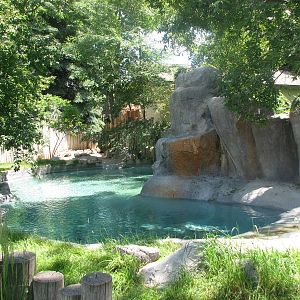 Penguin Cove - Outdoor Exhibit