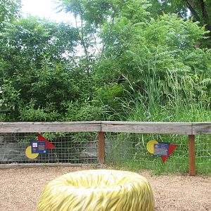 Children's Zoo - Play Area