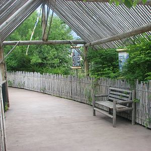 Asian Adventure - General View