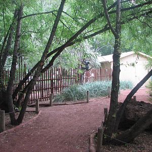 Land Down Under - General View