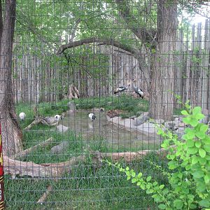 Africa - Malawi Marsh