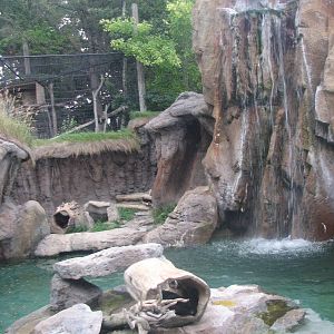 North America - Northern River Otter Exhibit
