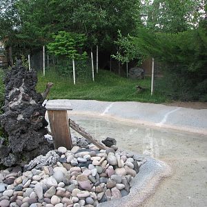 Little Asia - Reeve's Muntjac, Demoiselle Crane, Mandarin Duck Exhibit