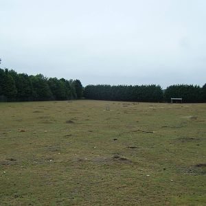 Taiwan Sika Deer and Black-Tailed Prairie Marmot paddock.