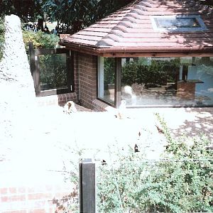 Bristol Zoo July 1989