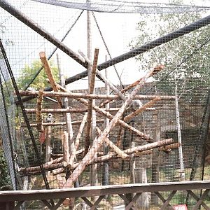 Bristol Zoo July 1989