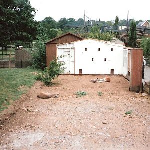 Bristol Zoo July 1989