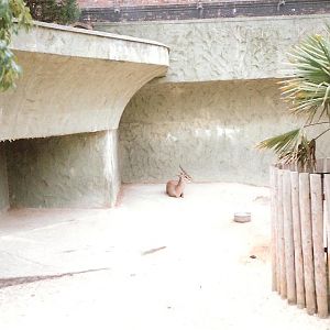 Bristol Zoo July 1989