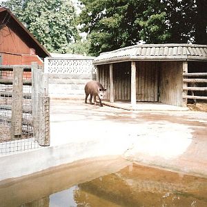 Bristol Zoo July 1989