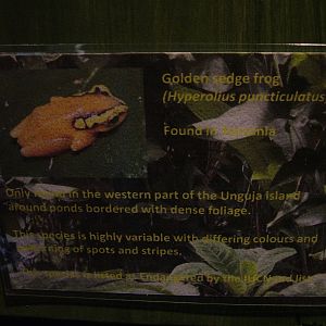 Signage Example in the Amphibian Room at Blackbrook, 12/06/10