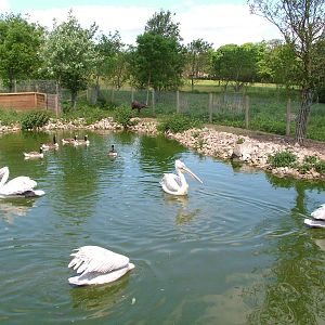 Mixed exhibit at Blackbrook, 12/06/10