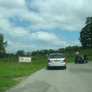 Iberian Wolf viewing at Woburn, 20/06/10