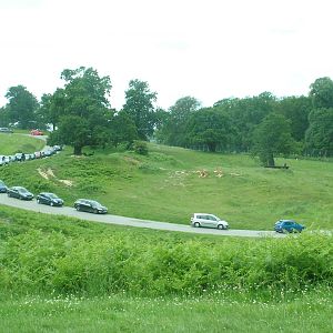 Lion-related Traffic Jam at Woburn, 20/06/10