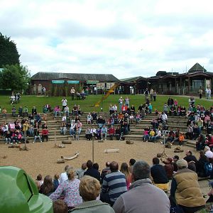 Bird Show at Woburn, 20/06/10