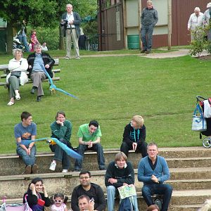 Bird Show at Woburn, 20/06/10