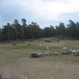 Kolmården Zoo - Savannah