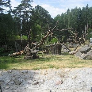 Kolmården Zoo - Gorilla exhibit