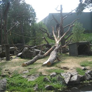 Kolmården Zoo - Chimpanzee exhibit