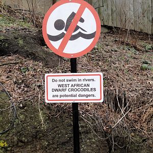 African Savannah - West African Dwarf Crocodile Sign