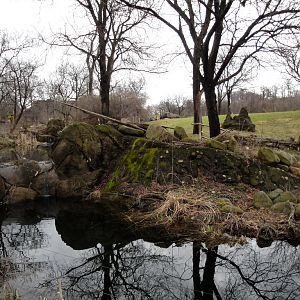 African Savannah - Antelope Exhibit