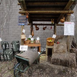 African Savannah - How Much Food Does an Elephant Eat?