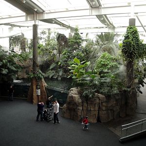 PPG Aquarium - View of the Amazon Exhibit from Second Floor