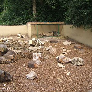 View of Porcupine enclosure