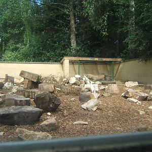 View of Porcupine enclosure
