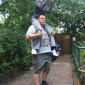 How to photograph a Porcupine enclosure