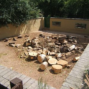 View of Porcupine enclosure