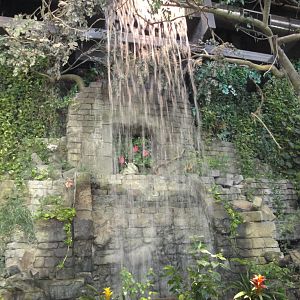 Rainforest - Entrance Waterfall