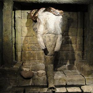 Rainforest - Reticulated Python Exhibit