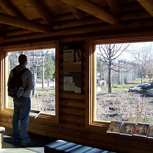 Arctic Encounter - Arctic Wolf Viewing Area