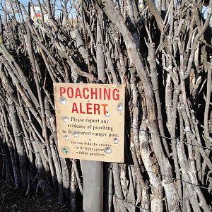 Africa! - Village Fence