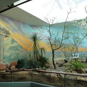 Aviary - Madagascar Exhibit