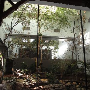 Aviary - South America Exhibit