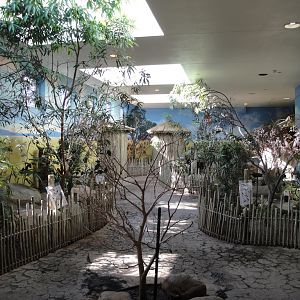 Aviary - Walk-through Africa Exhibit